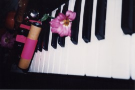 Eastocte Katia & Ann 11